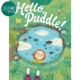 Hello, Puddle! 你好，小水塘 英文原版 进口原版 4岁到7岁 精装 儿童图画书 Anita Sanchez