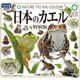 预售×日本正版IKIMON 青蛙蟾蜍特装版扭蛋 绿蛙桔梗青蛙立体手办