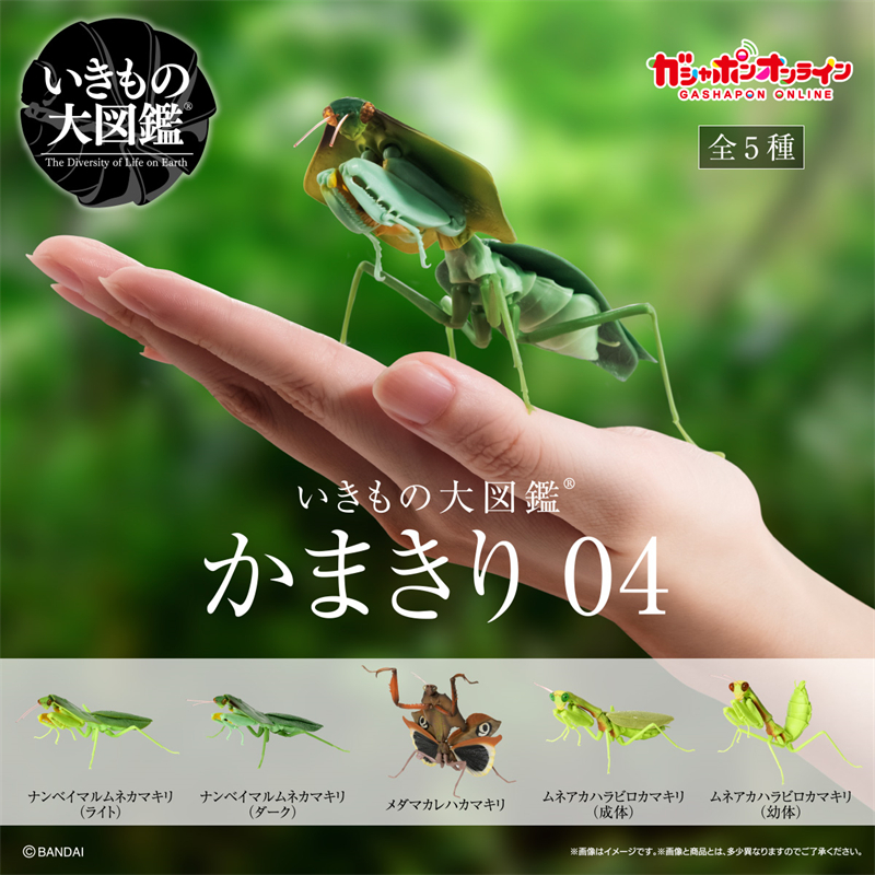 日本正版万代 第4弹 生物大图鉴螳