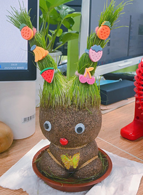 长草人草头娃娃头上小盆栽种植物浇水长头发迷你绿植儿童观察生长