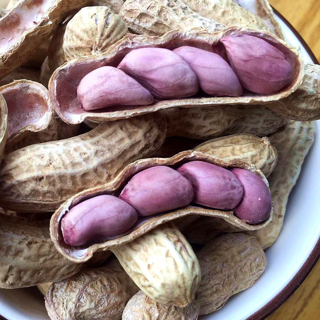 2021龙岩红皮花生香脆三四粒红衣花生500g五香水煮湿烤零食坚果