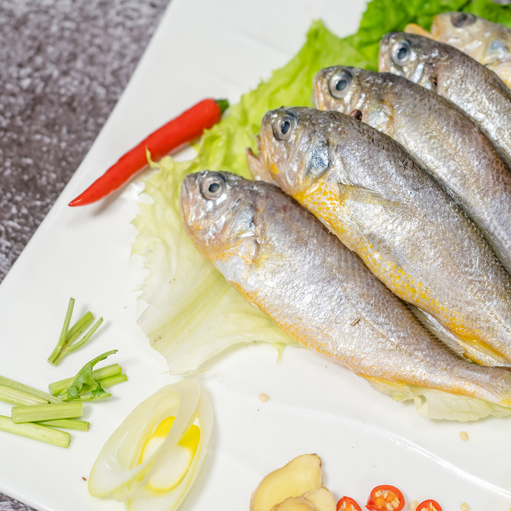 小黄花鱼新鲜冷冻非养殖渤海野生鲜活黄花鱼3份顺丰包邮海鲜水产