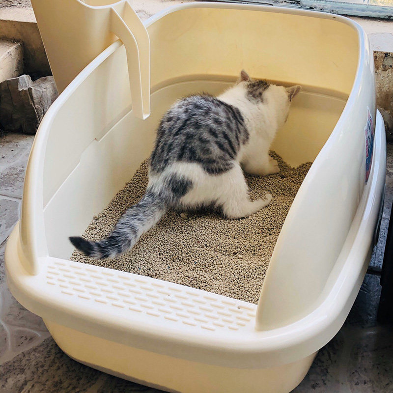 加长特大号猫砂盆