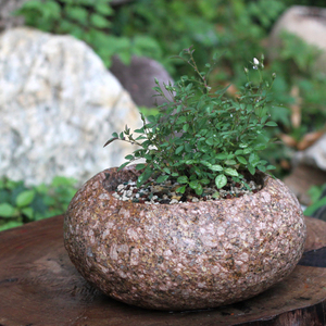 原生态纯天然石头花盆图片