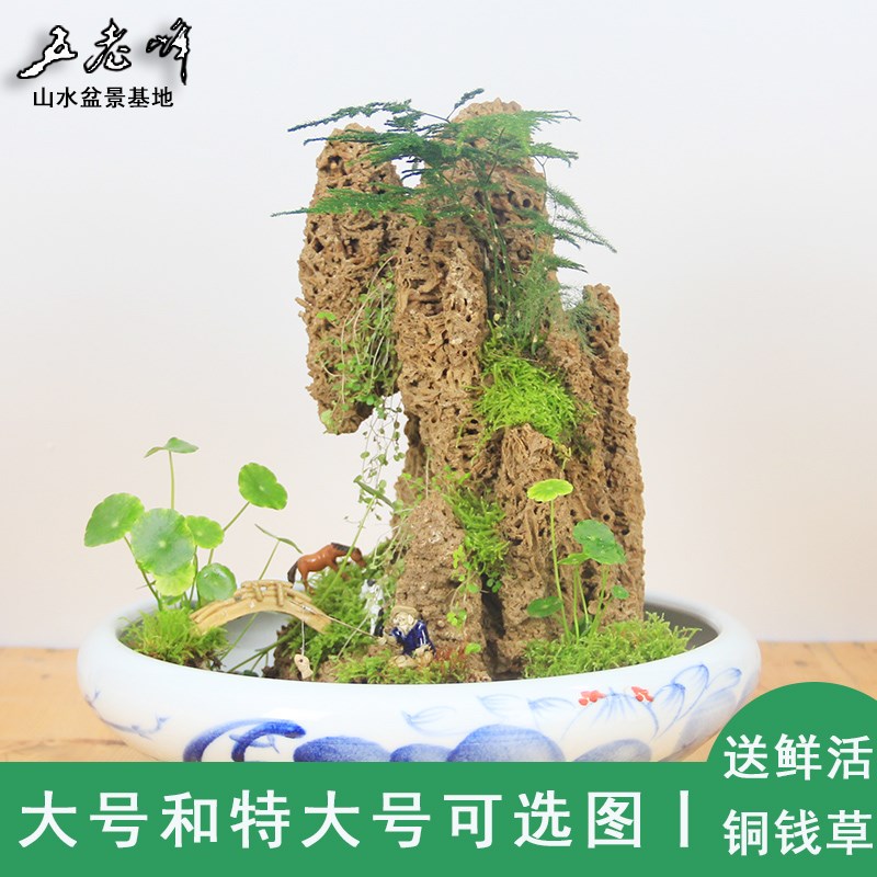 2019五老峰天然上水石原石假山吸水石山水盆景奇石摆件带植物整。在类目 鲜花速递/花卉仿真/绿植园艺, 园艺用品, 其它园艺用品中 - 来自Buy2taobao.com提供专业的淘宝代购服务