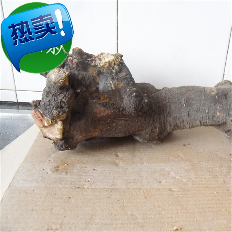 毛料雕刻原料麻梨疙瘩小叶鼠李根雕艺术品随形根雕
