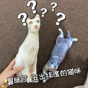 无描边宠物抱枕无白边丑猫玩偶定制无边玩偶异形猫猫巨丑猫咪抠图