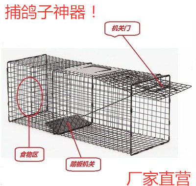 救助捕猫笼捉猫笼诱捕抓猫器捉猫器捕野外抓鸽子神器抓狗工具笼子