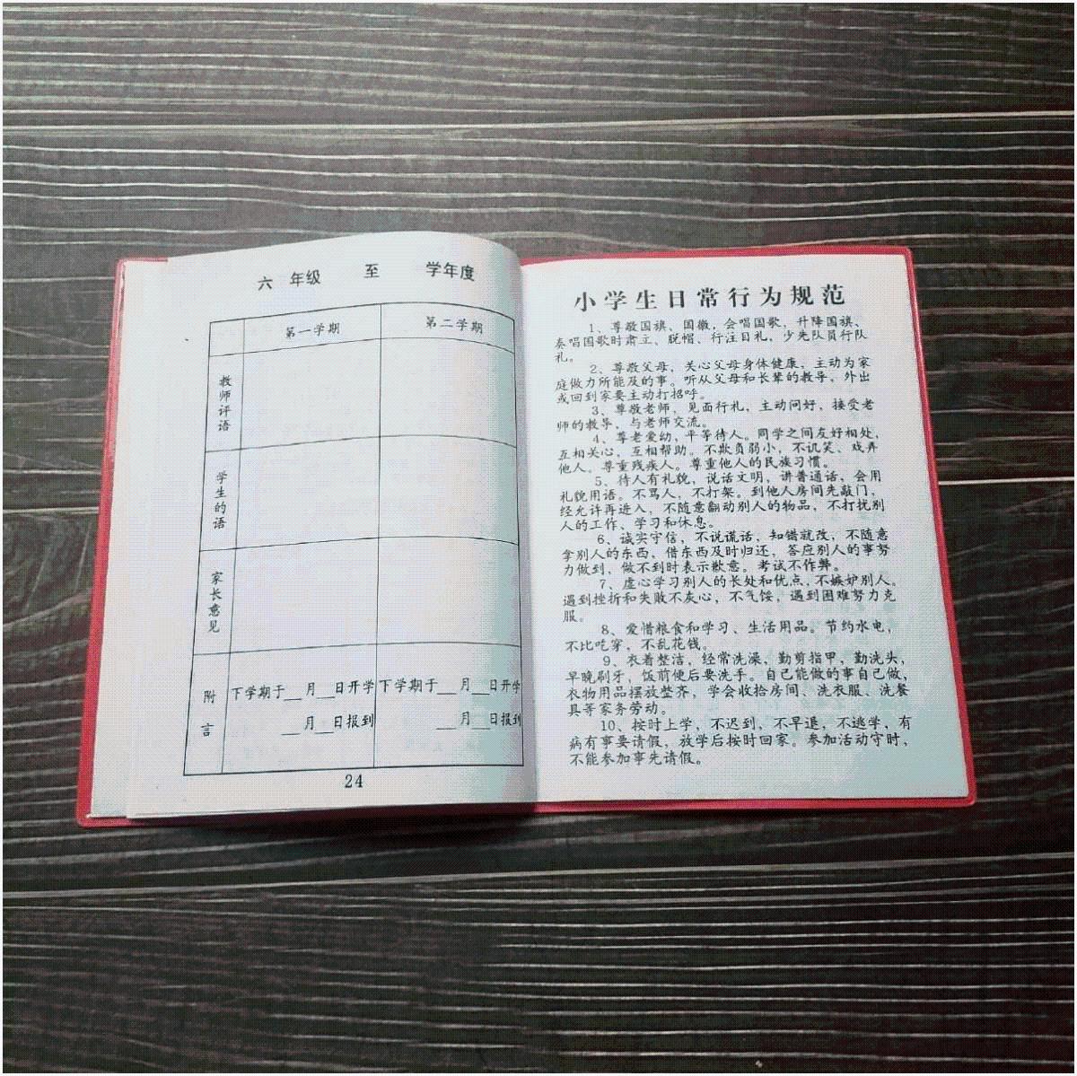 小学生综合素质发展报告册成绩单教育评价评估成长手册记录册通用