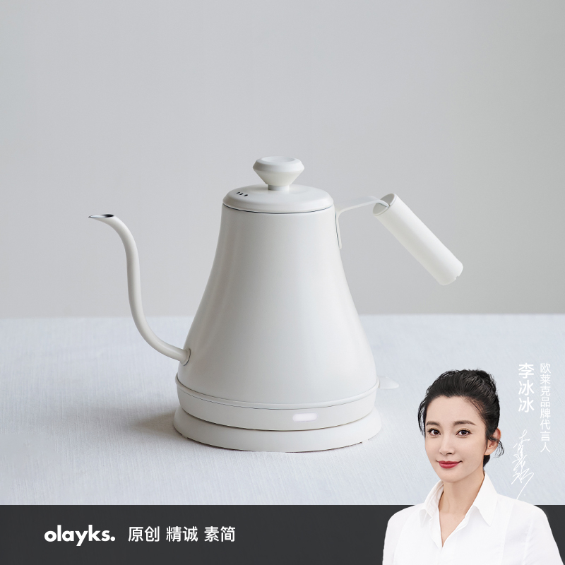 olayks电热水壶小型家用煮水烧