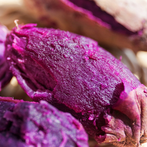 新鲜紫薯优惠券肉糖麻麻公众号