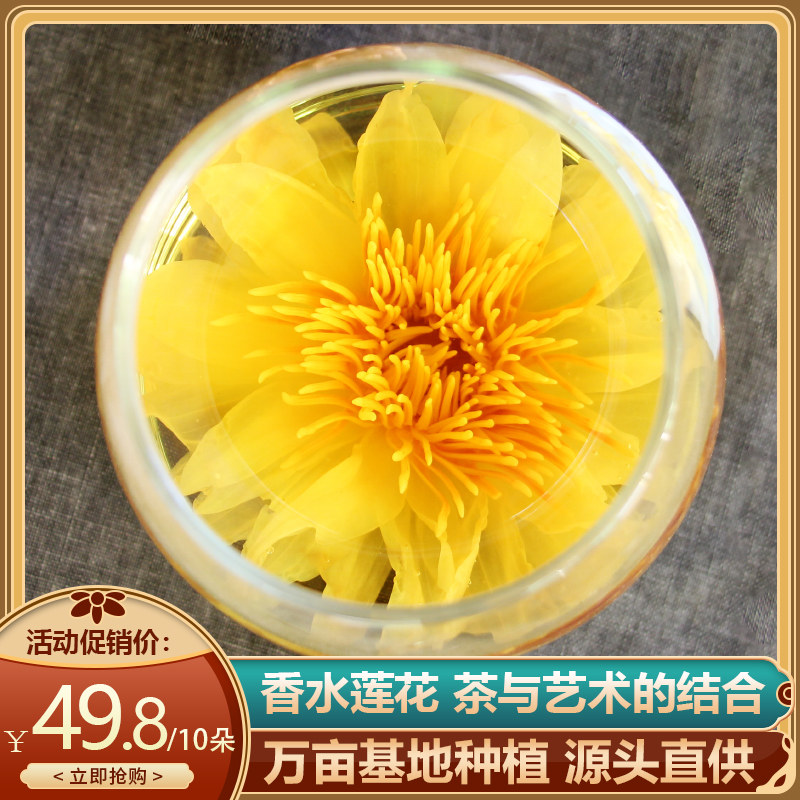 海南九品香水莲花茶叶台湾种观音莲叶花茶整朵16大朵新品花茶佛茶