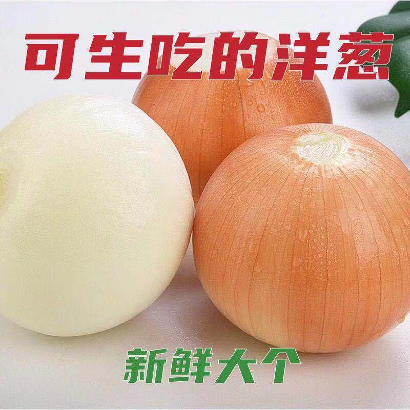 安丘农家黄洋葱洋葱头圆葱山东白洋葱新鲜5斤包邮