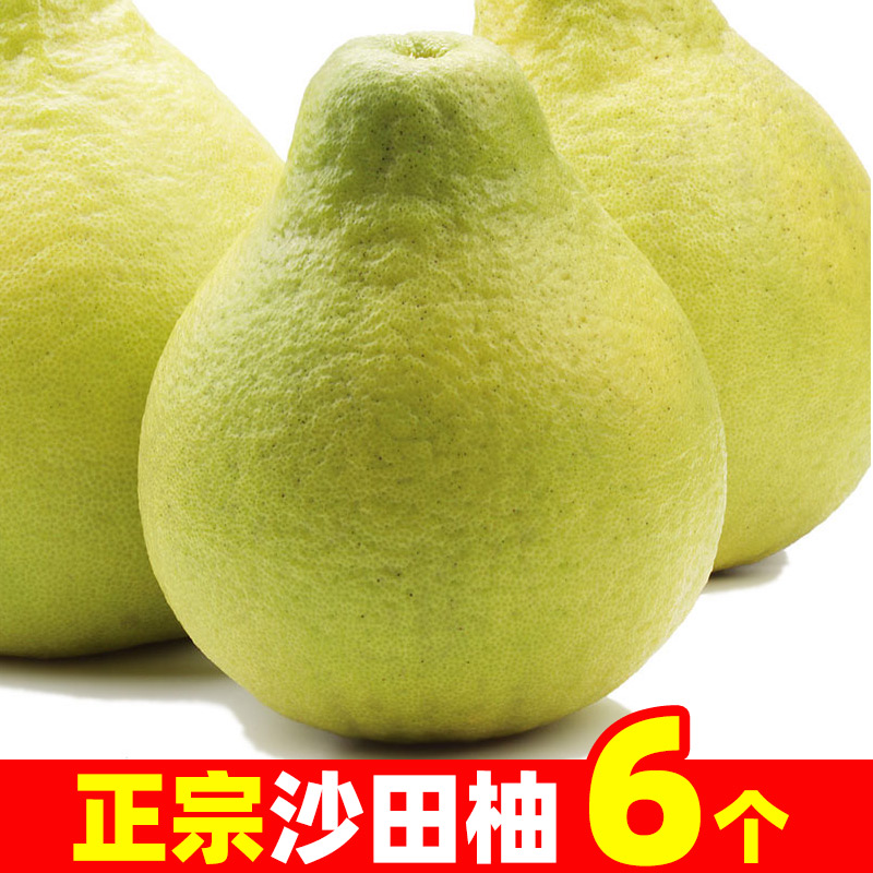 沙田柚广西容县