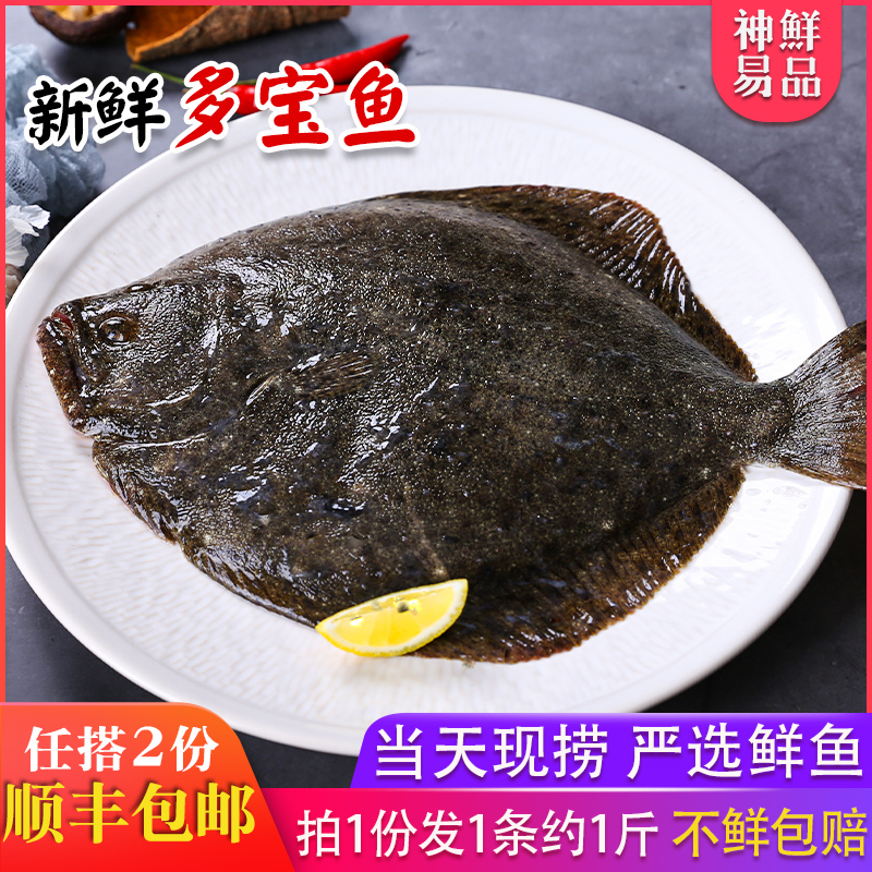 新鲜多宝鱼海鲜水产现捕深海鱼比目鱼左口鱼花岗鱼野生海鱼石江鱼
