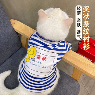 猫咪衣服薄款防掉毛春秋美短金渐层公猫帅气夏季卫衣幼猫网红可爱