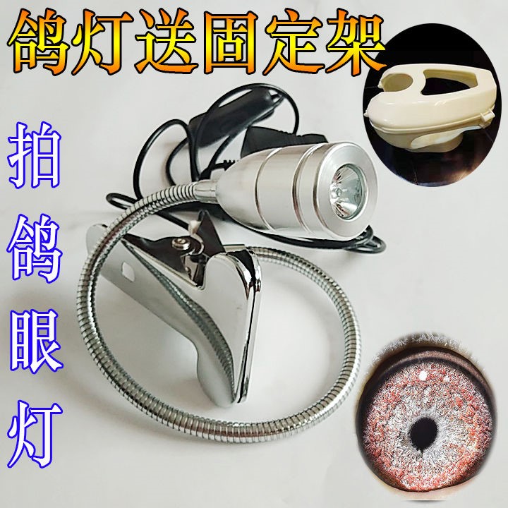 鸽眼拍照神器 高清鸽具看鸽子眼灯赛鸽眼睛射灯专用拍鸽眼放大镜