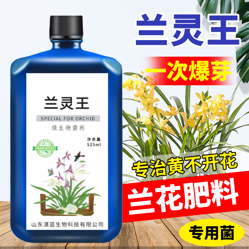 兰灵王兰花肥料专用杀菌释肥营养液活