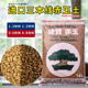 赤玉土原装三本线日本正品进口硬质盆景颗粒土营养土大整包约20斤