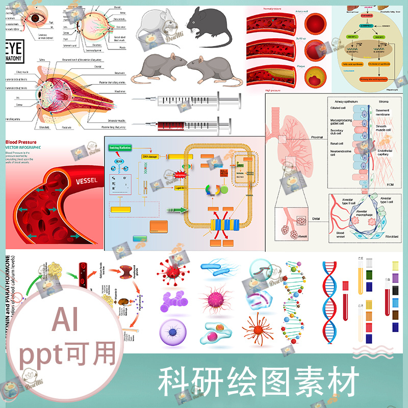 科研科技绘图流程细胞组织器官生物医学通用PPT插图AI矢量图模板