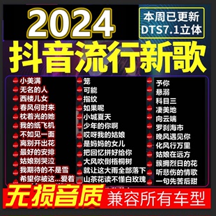 汽车载u盘歌曲2024新款热歌榜柏林之声无损高品音质车用音乐u优盘