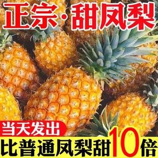 现摘正宗海南金钻凤梨当季新鲜水果手撕无眼爆甜非菠萝3-10斤鲜果