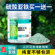 硫酸亚铁促花肥料栀子花专用肥防黄叶促绿调节土壤酸碱水溶肥料