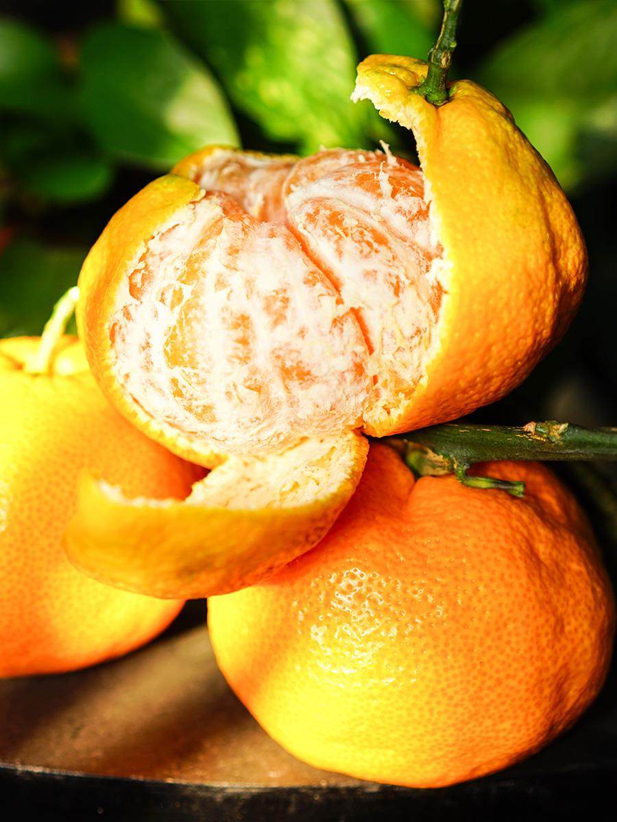 四川青见柑橘子新鲜8斤蜜橘水果当季正宗大果桔子丑八怪整箱包邮5