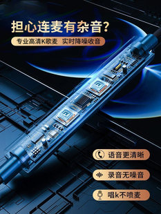 全民K歌耳机有线唱歌专用手机华为录歌专业声卡入耳式麦克风降噪