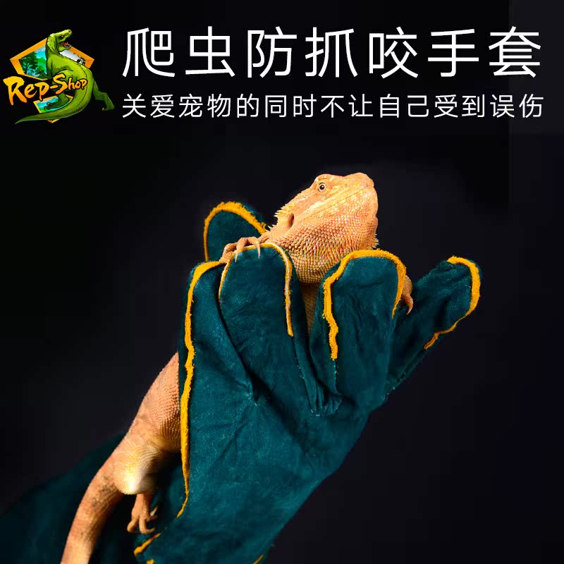 Reptile Climb pet Mane lion lizard Cats and dogs Protective gloves glove Prevent Anti grasping glovesin the Pet/Pet food and supplies , Reptile/Insects and supplies Ming , Reptile/Insect appliances Ming  category - from Buy2taobao.com to provide professional Taobao agent buy service