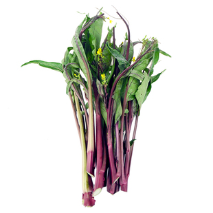 新鲜红菜苔台菜心紫菜苔新鲜蔬菜农家自种红菜心2斤