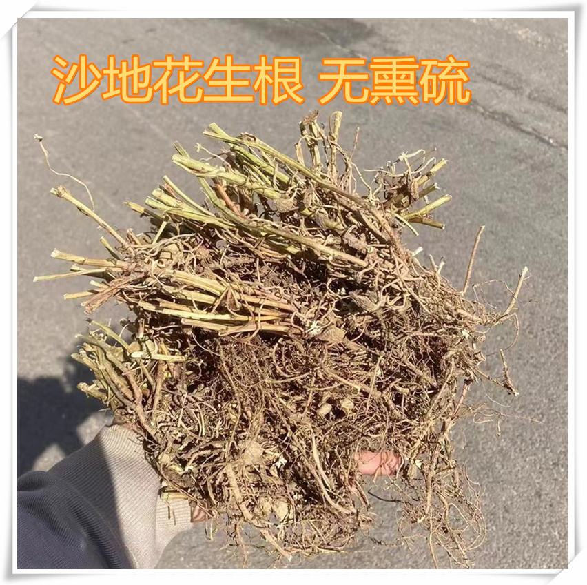 新货 花生根500克 花生的根头花生的根农家自产花生根 包邮