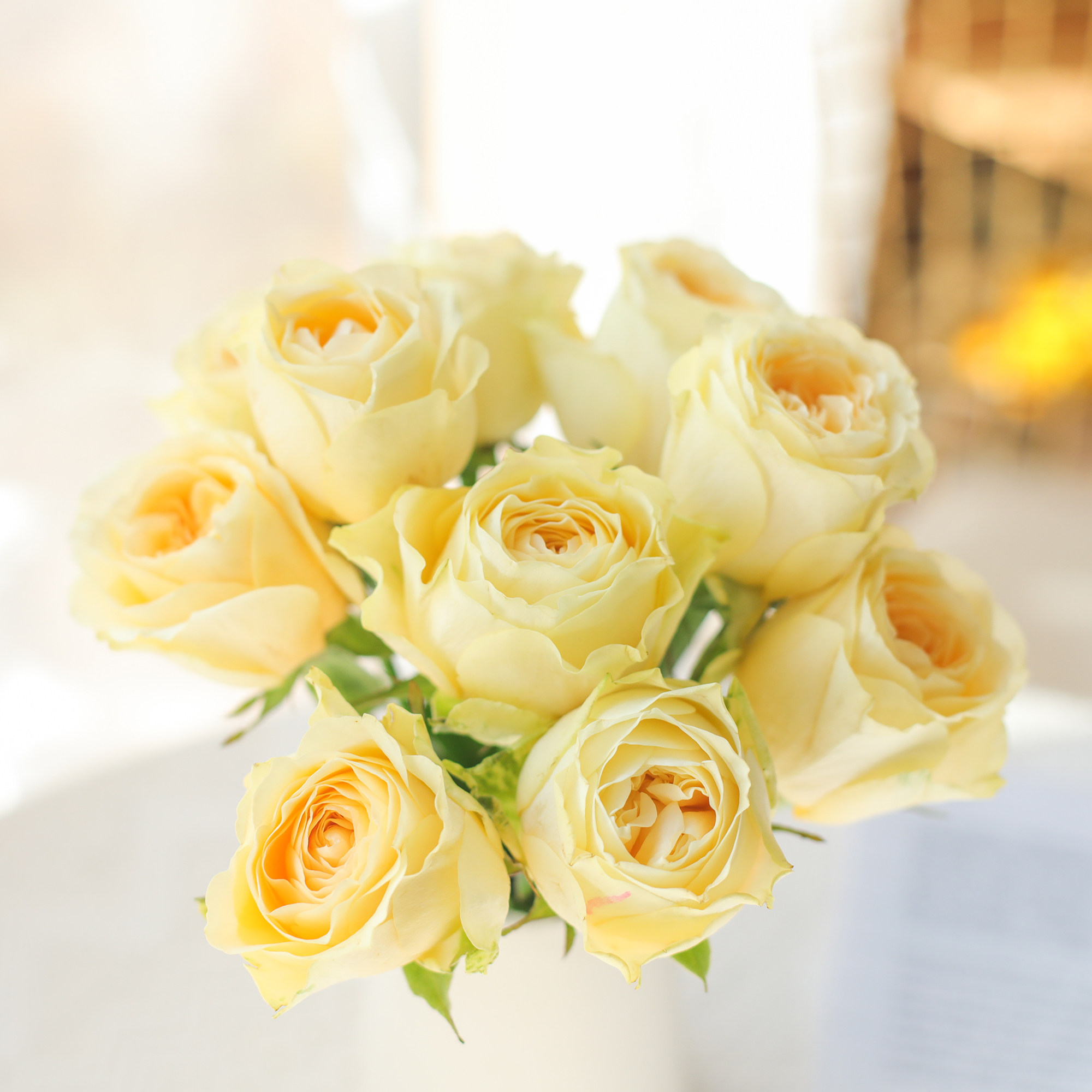 严选精品鲜花速递肯尼亚进口多头花园玫瑰朱丽叶五支朱莉塔特价