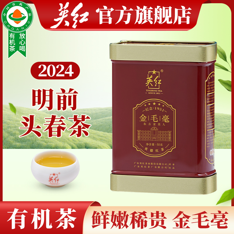 2024明前春茶金毛毫特级有机红茶