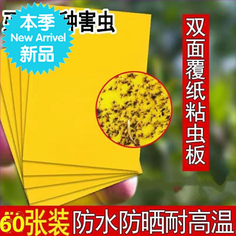 双面黄蓝粘虫板果l园大棚黏虫板沾虫果蝇粉虱蓟马灭小飞虫整箱诱在类目 鲜花速递/花卉仿真/绿植园艺, 园艺用品, 其它园艺用品中 - 来自Buy2taobao.com提供专业的淘宝代购服务
