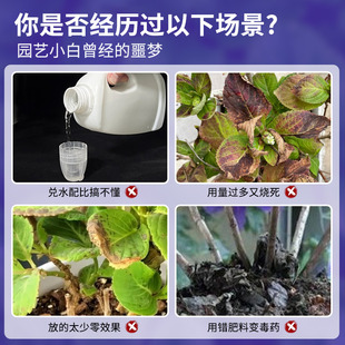 免稀释绣球花肥料花肥喷施保鲜液通用型酸性植物营养液绣球调蓝剂