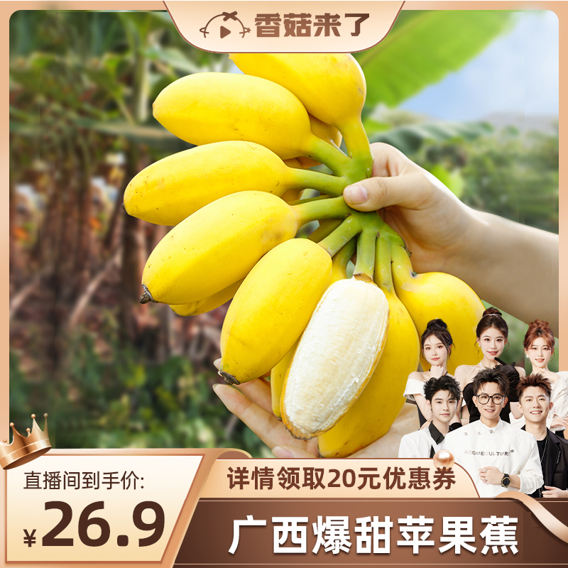 【香菇来了】广西苹果蕉3-5斤产地