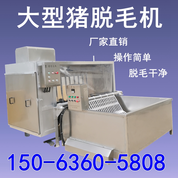 大型猪脱毛机生猪刨毛去毛机器屠宰场猪打毛机器母猪肥猪腿毛机器