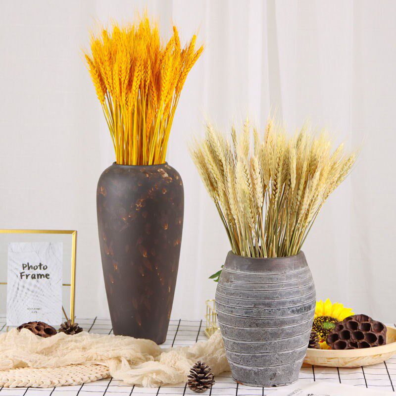 代购天然麦穗干花花束开业大麦田园装饰礼品拍摄道具稻穗干花真花
