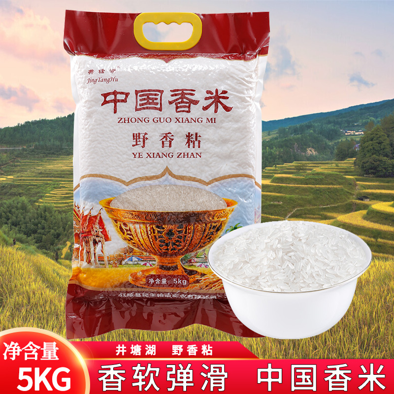 长粒香米10斤新米 中国香米5kg 长粒米香米农家煲仔饭真空包装
