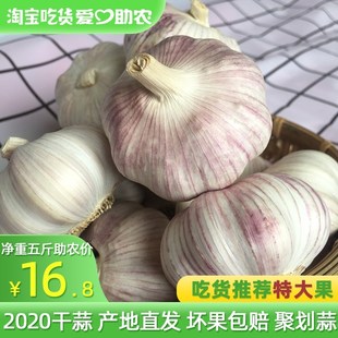 【大个头】河南大蒜头干蒜5斤农家大蒜蒜头新鲜紫皮白皮3斤/10斤