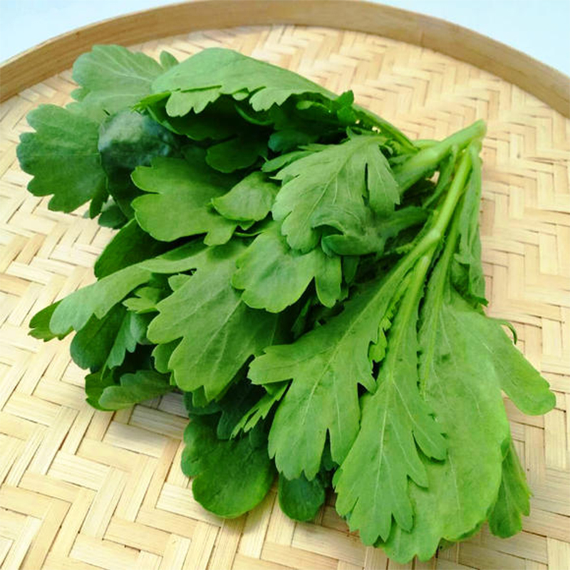 大叶茼蒿种子皇帝菜种籽春夏四季阳台盆栽大田小青菜板叶茼蒿种孑