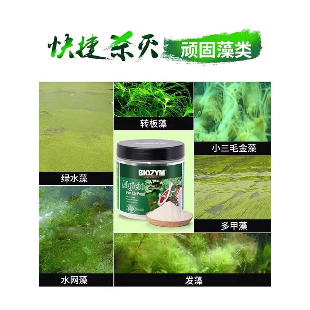 百因美除藻剂锦鲤鱼池除藻去苔剂不伤鱼除绿藻除青苔褐藻剂灭藻剂
