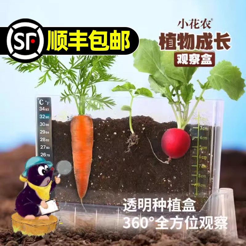 儿童种植小盆栽小农场发芽小植物小花农迷你小农场根系生长观察窗