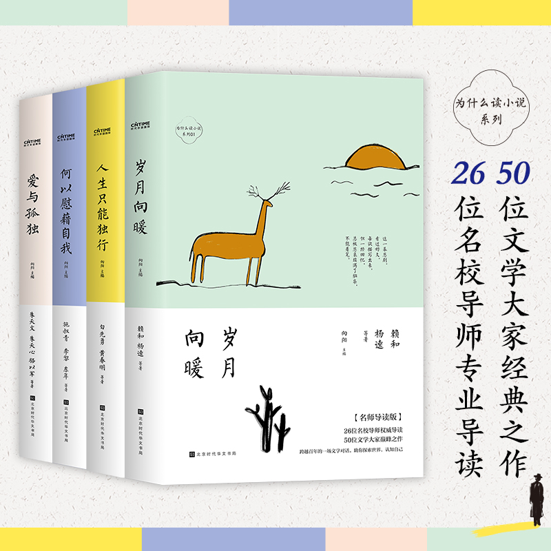 当当网正版书籍为什么读小说系列4册套装何以慰藉自我岁月向暖爱与