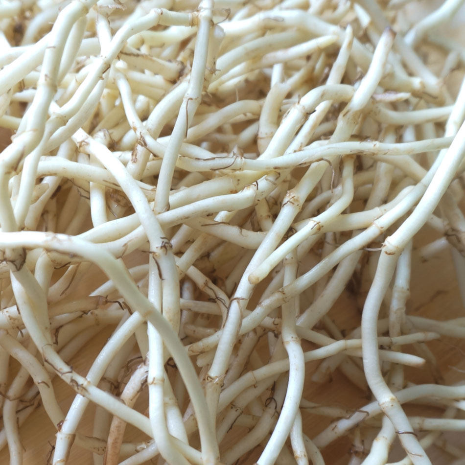 凉菜干货大全散装凉拌菜干货大全商用现挖侧耳折耳根鱼腥草4斤