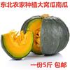 東北新鮮窩瓜 面瓜新鮮應季蔬菜 當季現摘現發整箱5斤 包郵現貨 東北新鮮窩瓜 面瓜新鮮應季蔬菜 當季現摘現發整箱5斤 包郵現貨