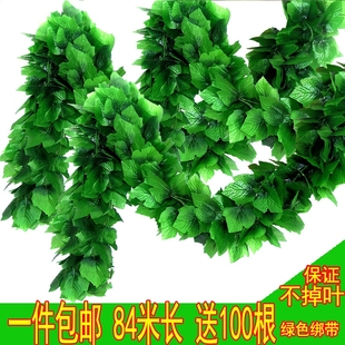 壁挂仿真植物假花藤条绿爬山虎室外装饰藤蔓垂吊绿植墙塑料树爬山