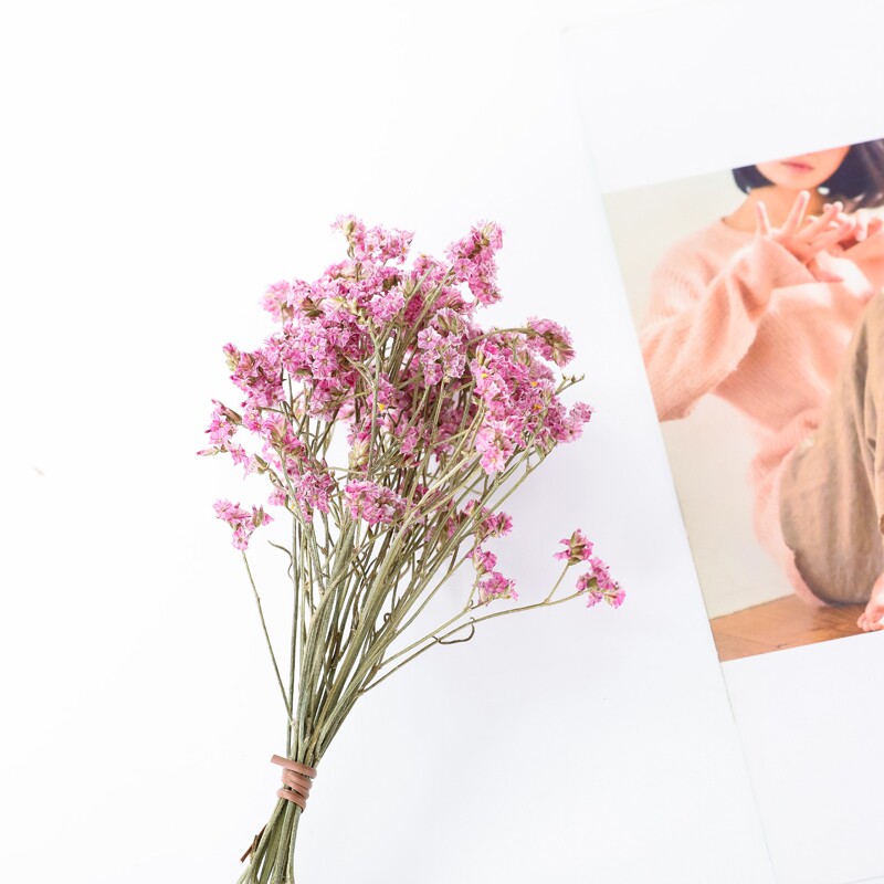 水晶草干花花束满天星情人草风干真花永生花插花拍照道具摆设装饰