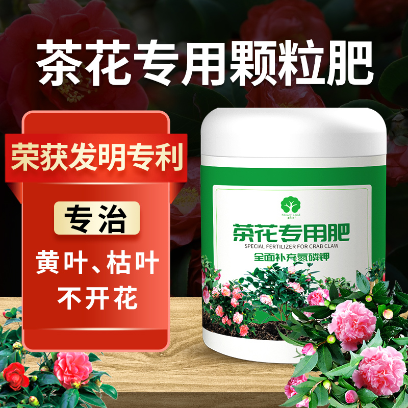 茶花肥料专用肥茶花专用肥料促开花颗